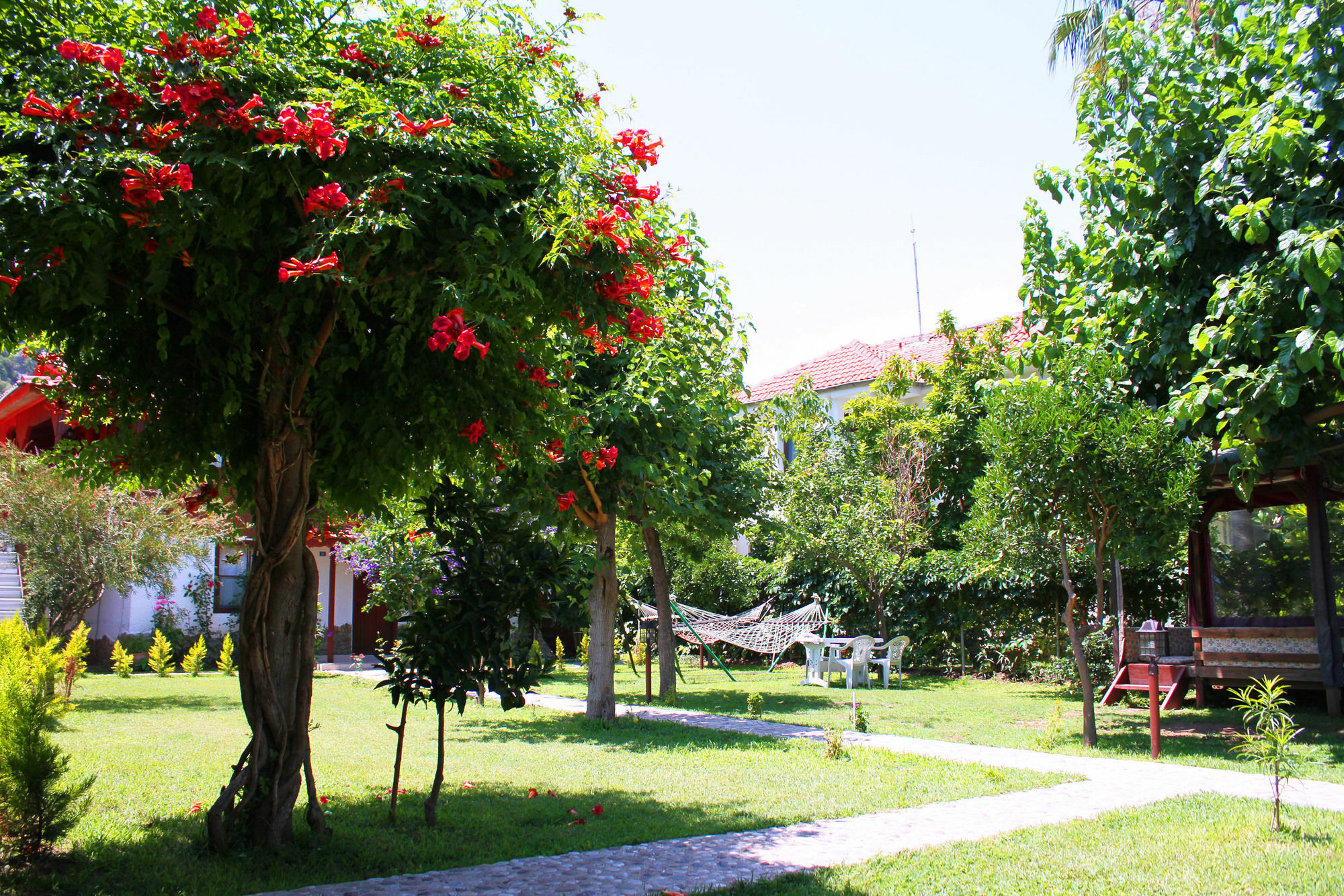 Alican Pension Cirali Exterior foto